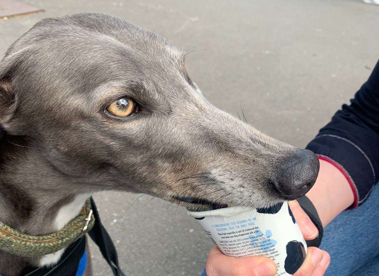 He was anxious when he first arrived at the rescue centre