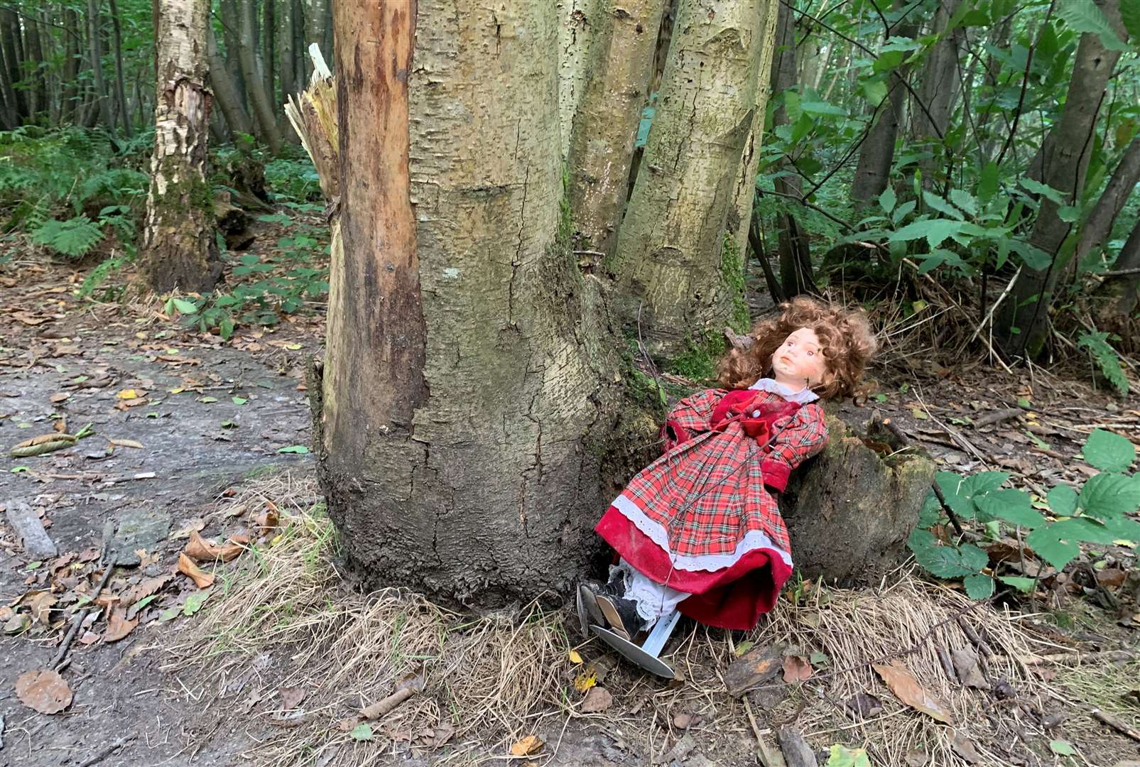 I finally spotted a doll in a red dress sitting at the bottom of a tree