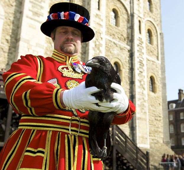 Christopher Skaife with one of the Tower's ravens