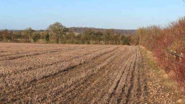 The panels are meant to be installed on almost 38 acres of farmland. Picture: Wessex Solar Energy