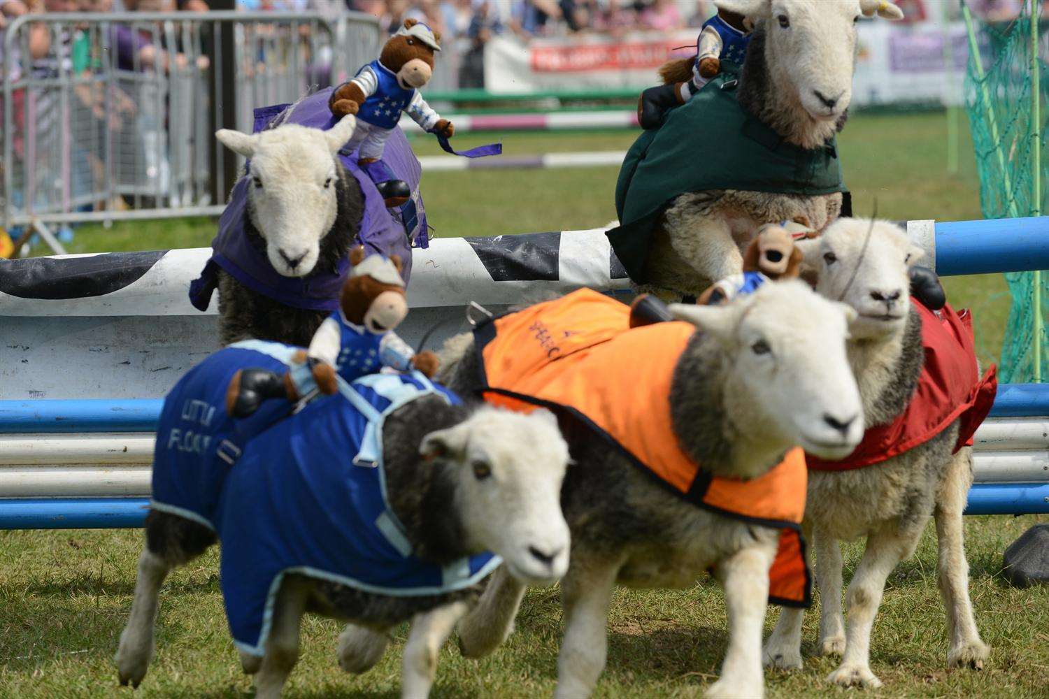 The Lamb National at the Kent County Show