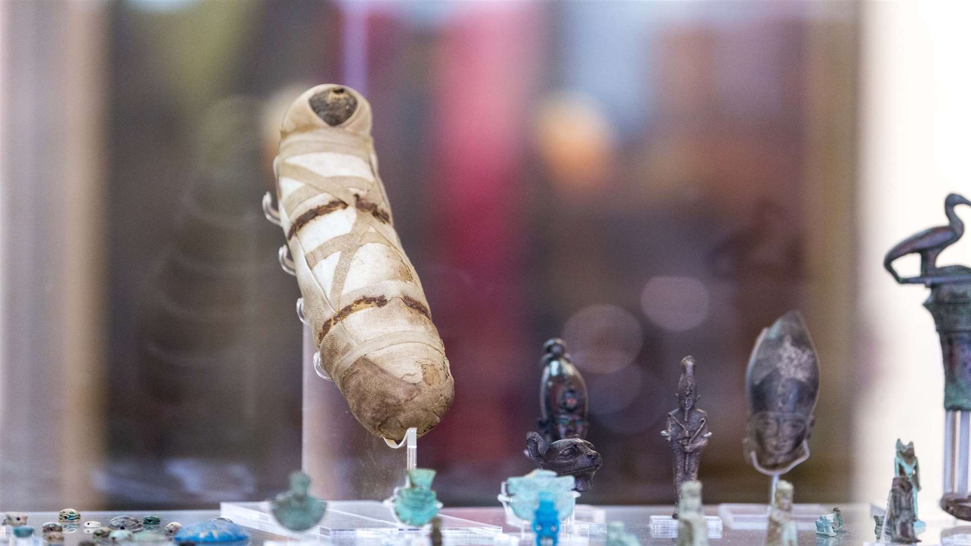 The Egyptian mummified cat in Canterbury