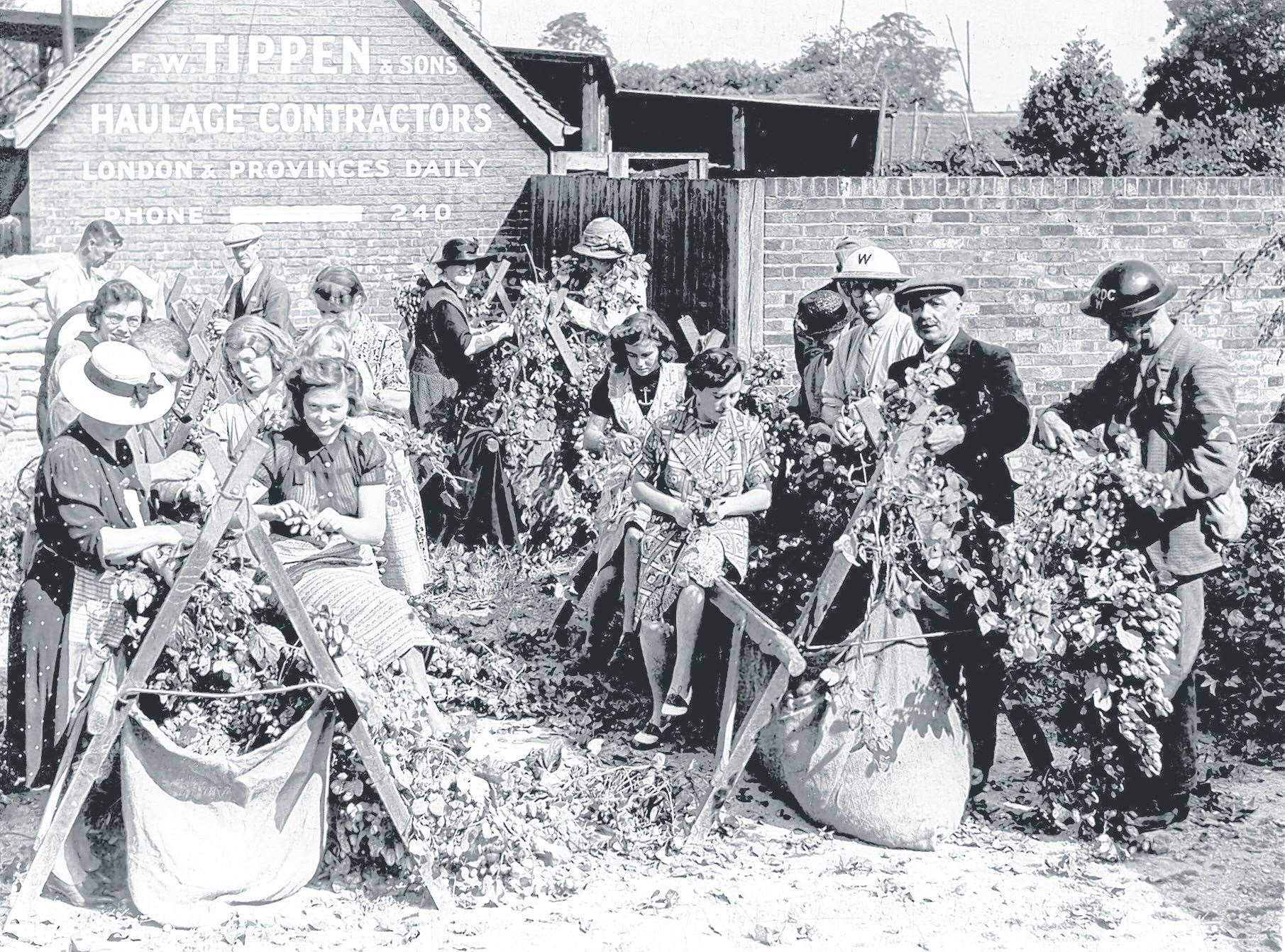 Hop-picking in the blitz of September 1940. These people are picking hops in the main street of the village of Marden. Stock picture