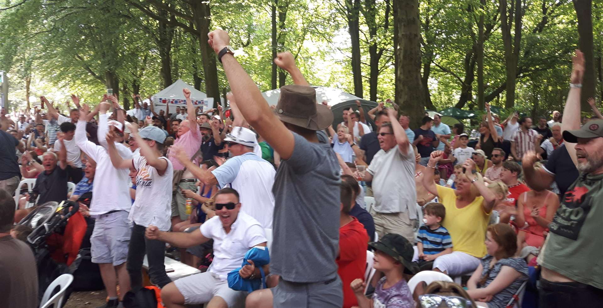 Fans go wild at the County Show when England went 1-0 up (2925633)