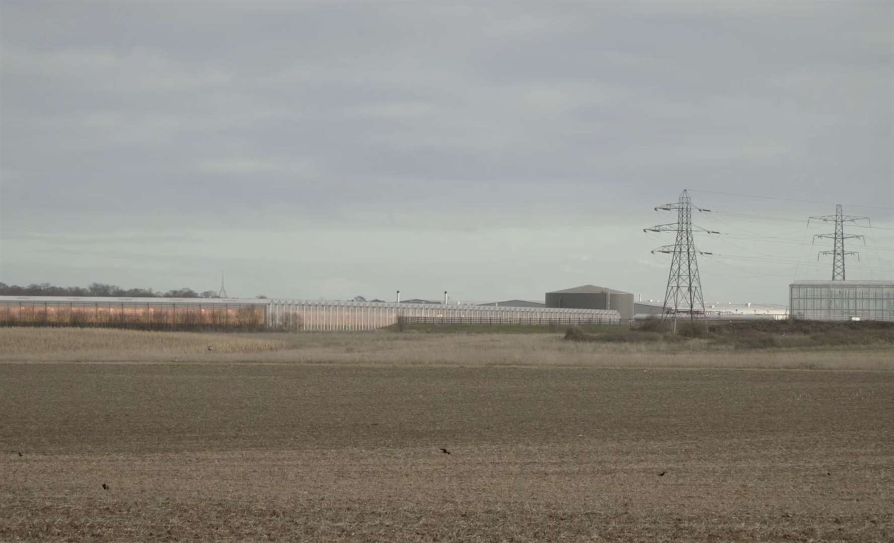 Thanet Earth in Birchington is the UK's biggest greenhouse complex