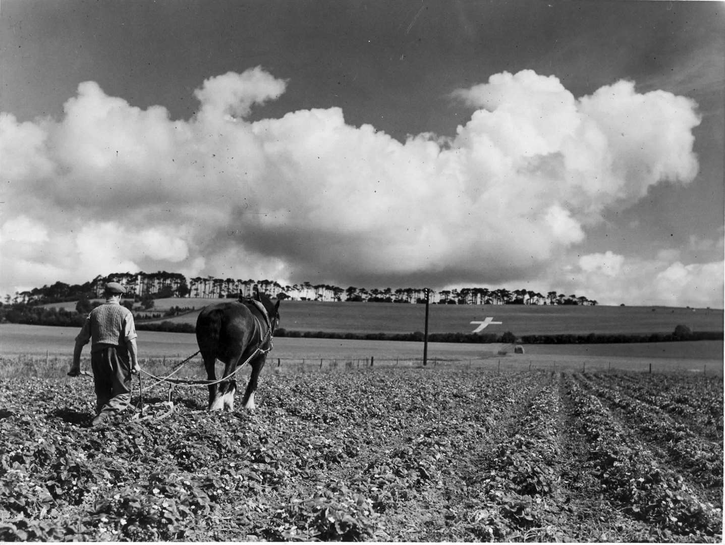 This photo with the cross in the background was taken in 1946