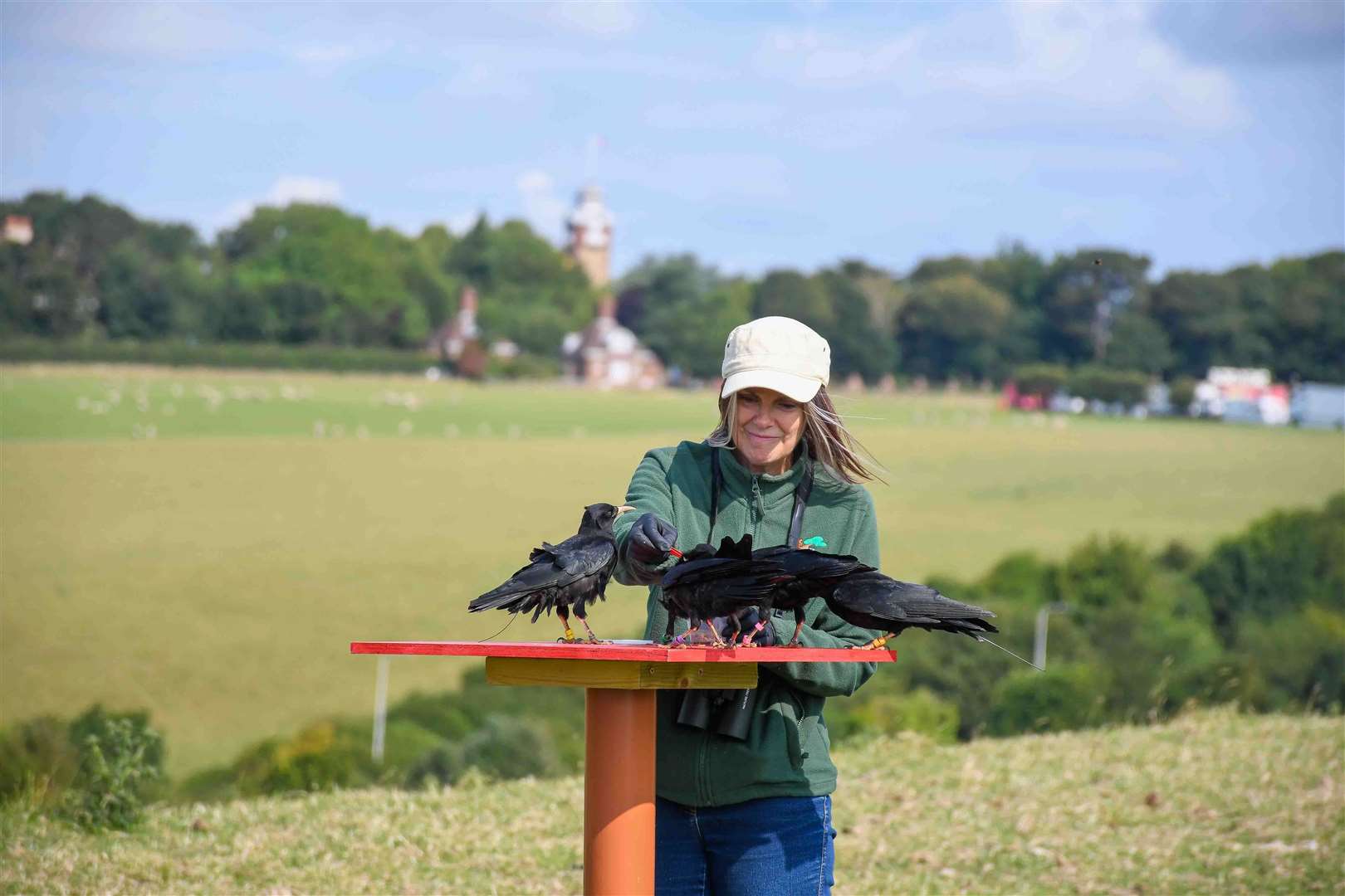 Laura Gardner says releasing the birds into the wild was a ‘huge moment’