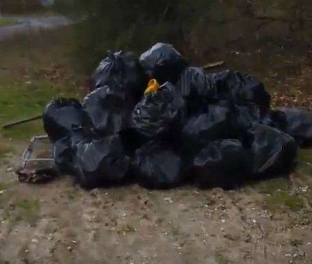 Ray Williams cleared bags of rubbish from the lay-by last bank holiday weekend. Picture: Ray Williams