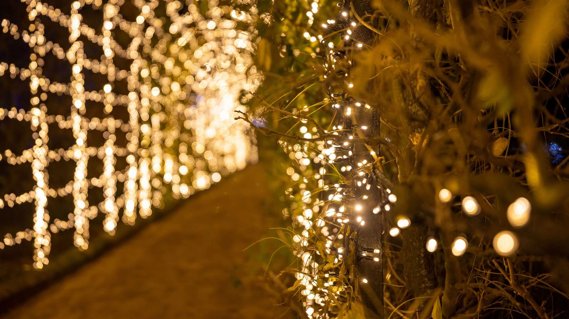 Twinkling archways similar to those featured in Trentham could be on offer