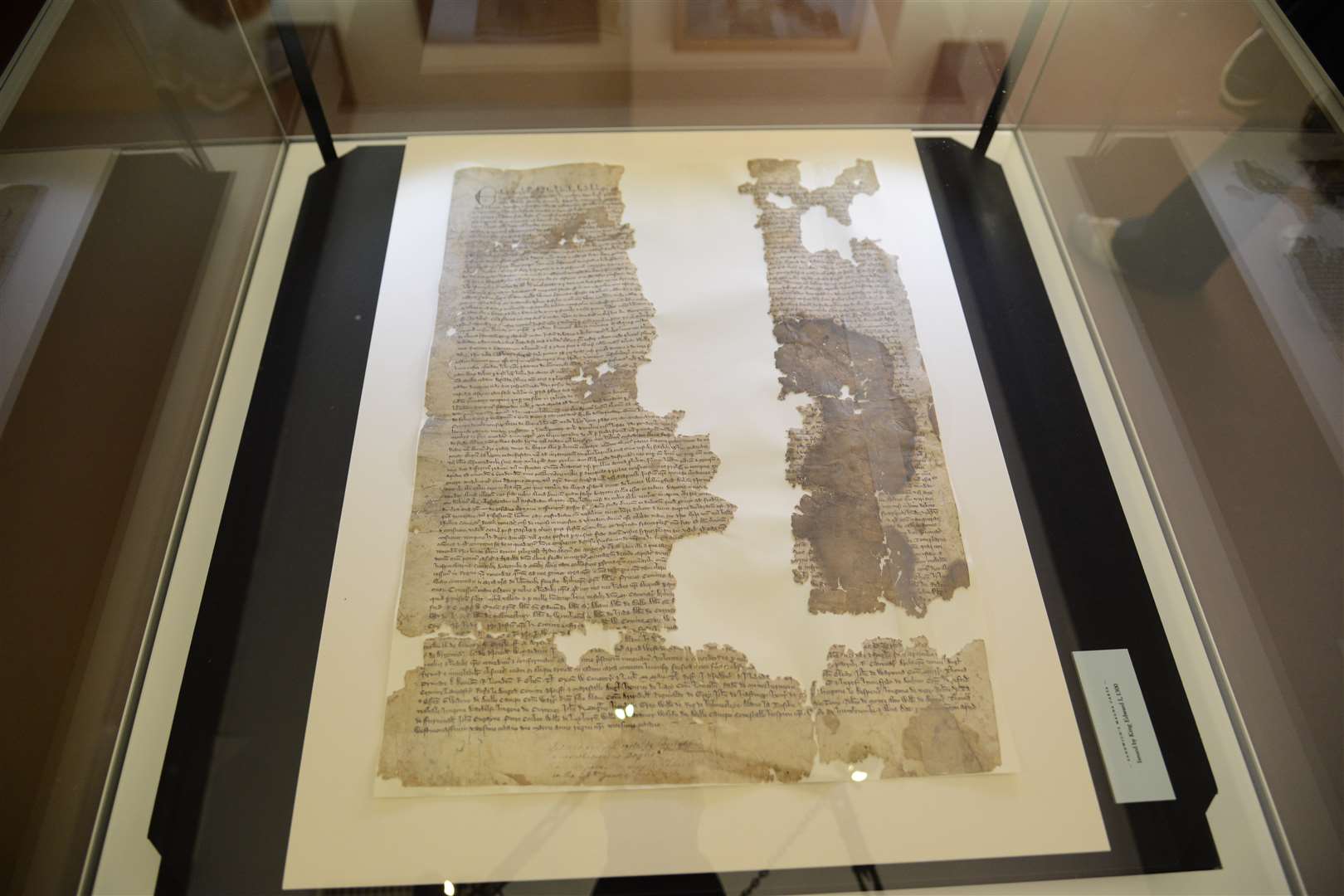 The Magna Carta