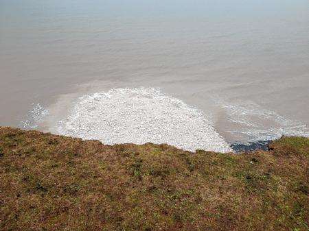 The cliff fall at St Margaret's Bay. Picture: Paul Tutthill.