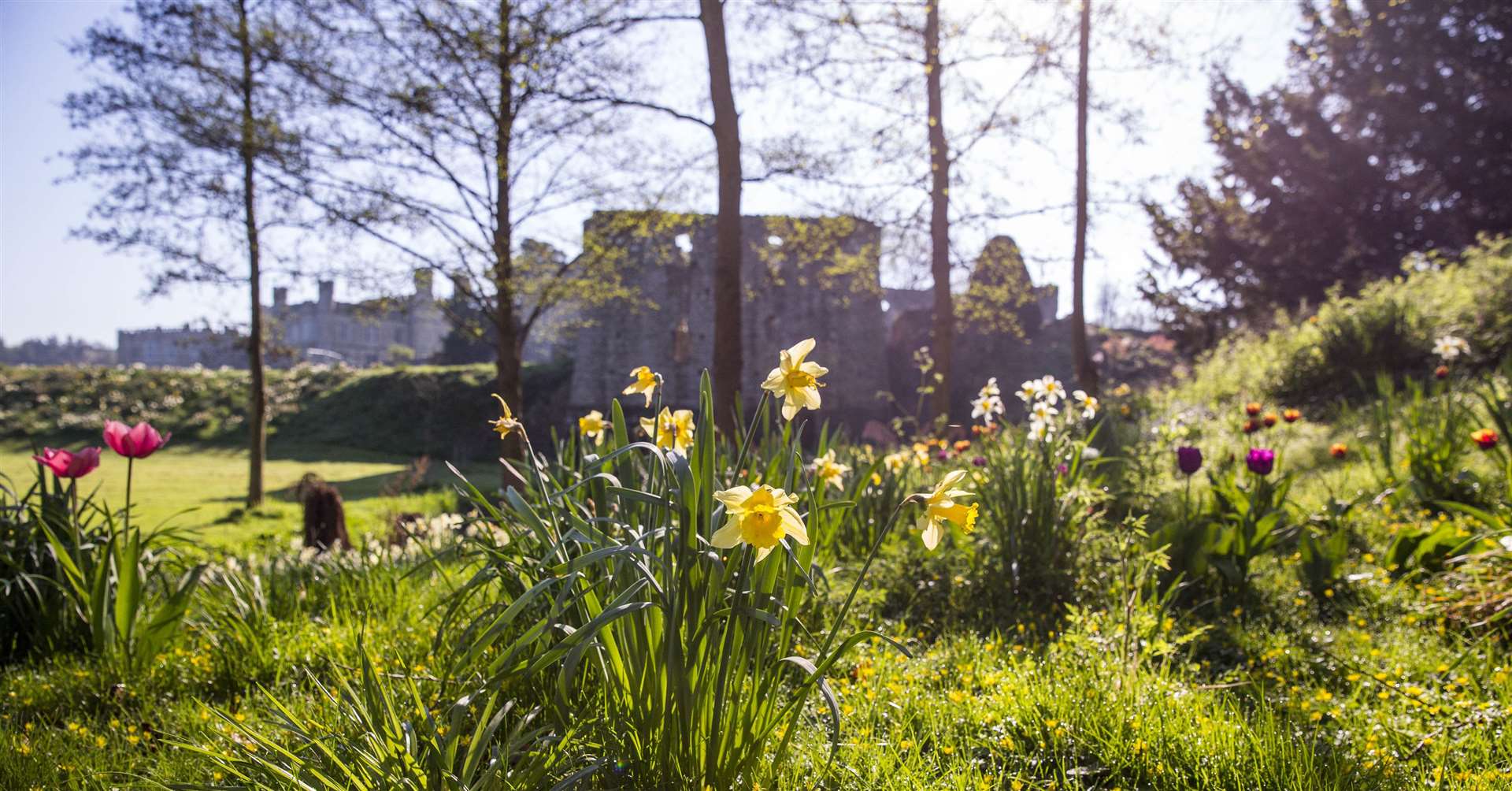 Discover 900 years of history and explore 500 acres of beautiful parkland and gardens at Leeds Castle. Thomas Alexander (11906170)