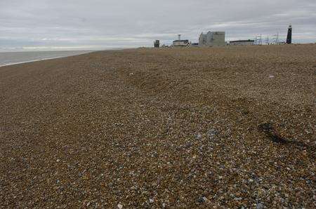 The beach at Dungeness Point