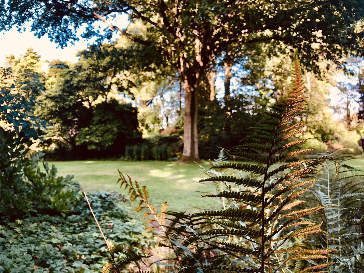 The Autumn Hunt at Great Comp Gardens