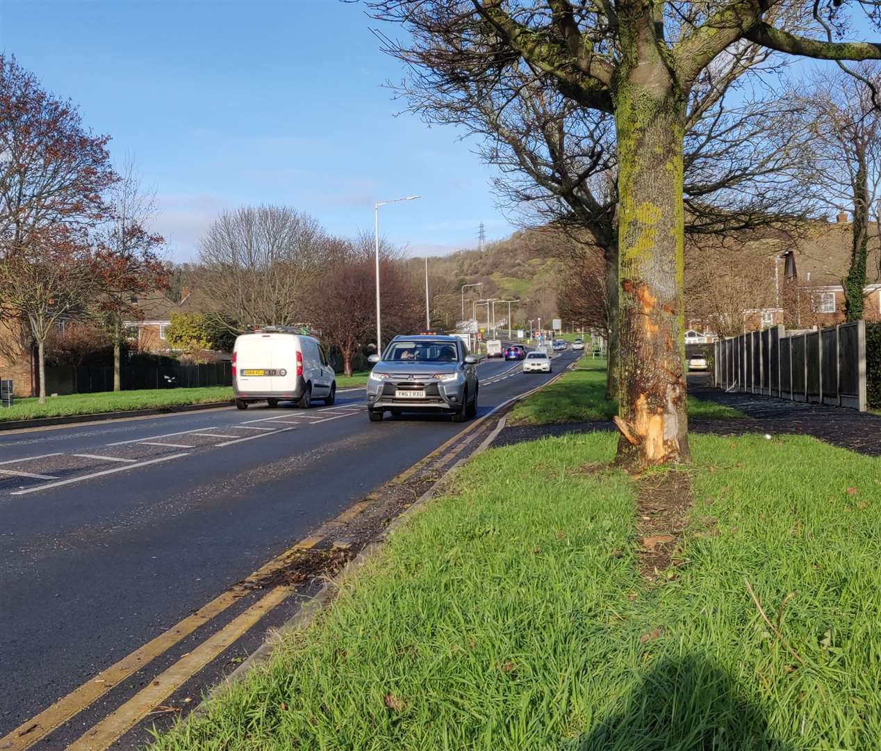 The damage after a car crashed into a tree in Cherry Tree Avenue, Folkestone. Picture: Rhys Griffiths