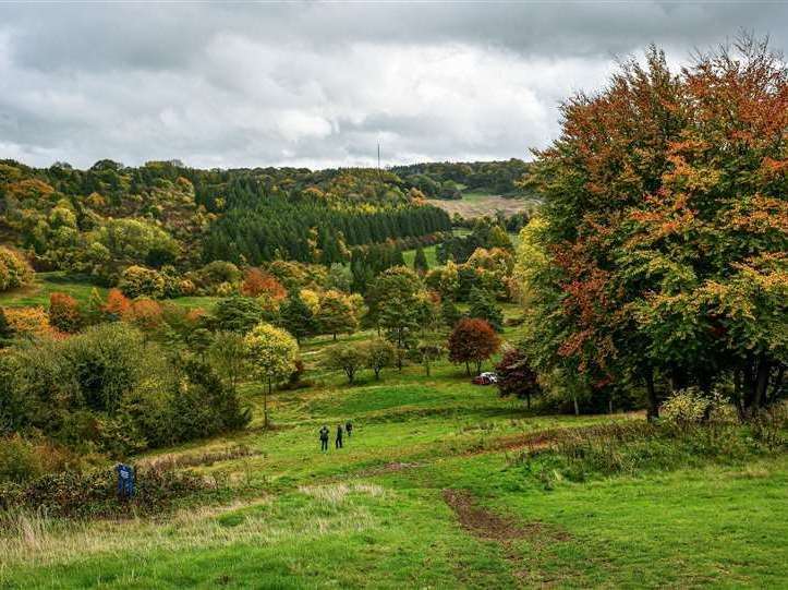 The Kent Wildlife Trust land at Heather Corrie Vale