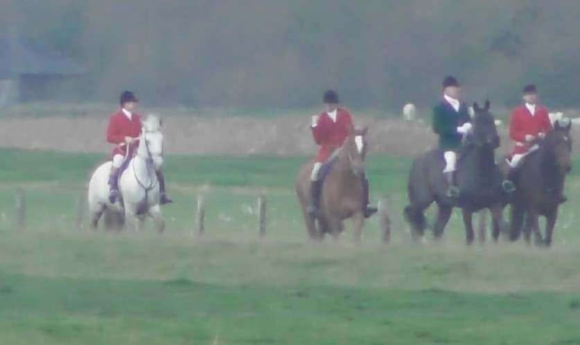 The riders were from East Sussex & Romney Marsh hunt, Kent Hunt Sabs report