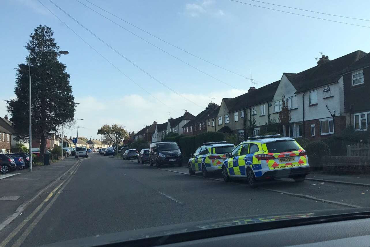 Police cars were seen in Plains Avenue.