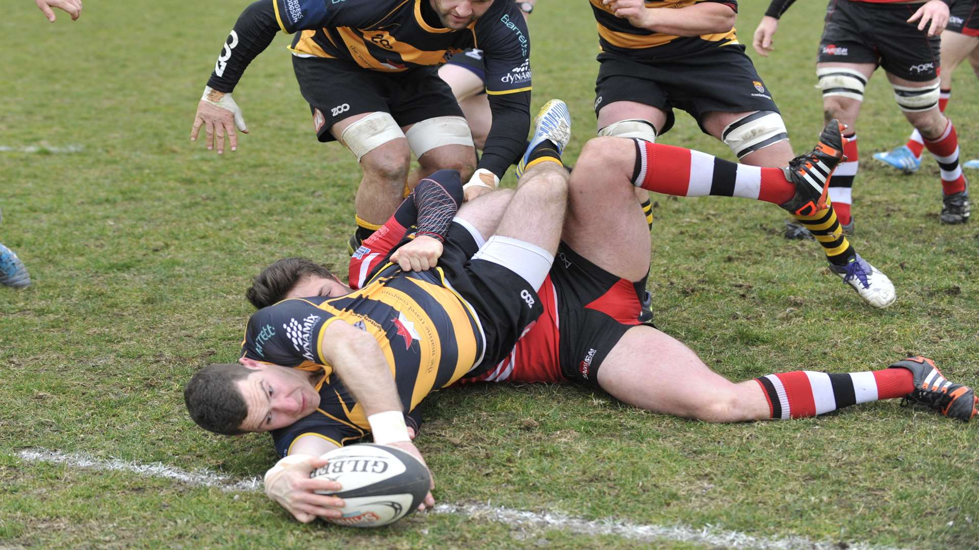 Dan Smart battles his way to touch down for a Canterbury try. Picture: Tony Flashman.