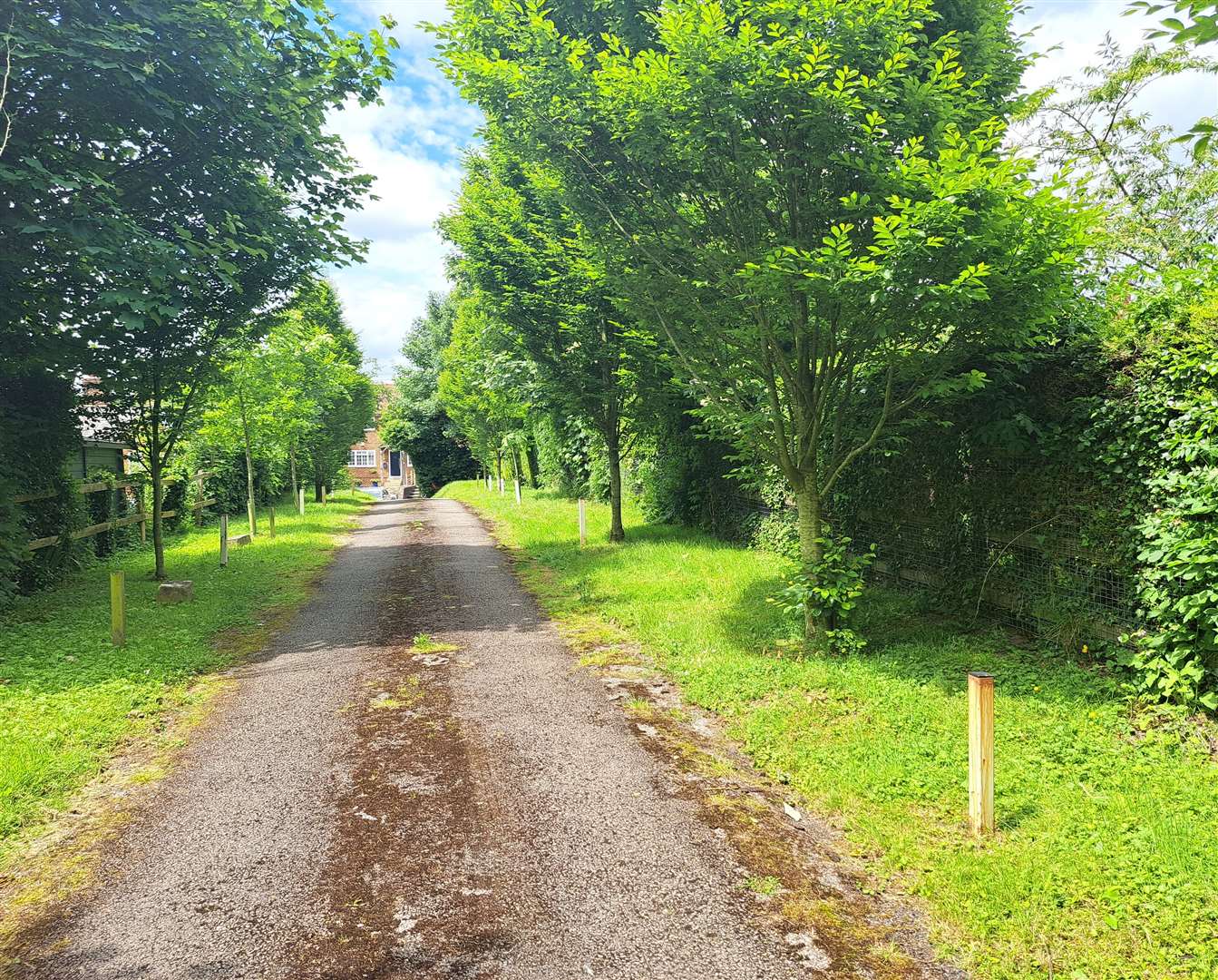 An avenue of Lombardy Poplars was planted by REME on the lane leading to Lenham Cemetery in 1988