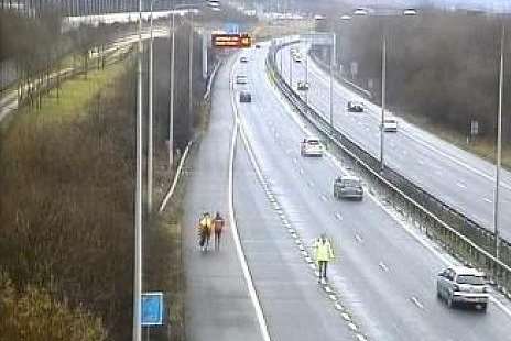 Horse seen on coastbound hard shoulder. Picture: Kent 999s