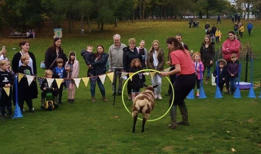 Millie and Flause have proven to be a hit on the school's open days. Picture: Millie Clark