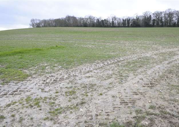 The land at Gibraltar Farm, Ham Lane, Gillingham