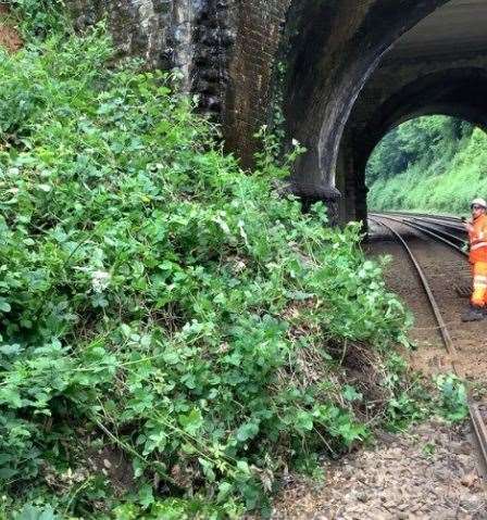 The landslip at Wheeler Street Tunnel, near Maidstone East. Picture: Network Rail