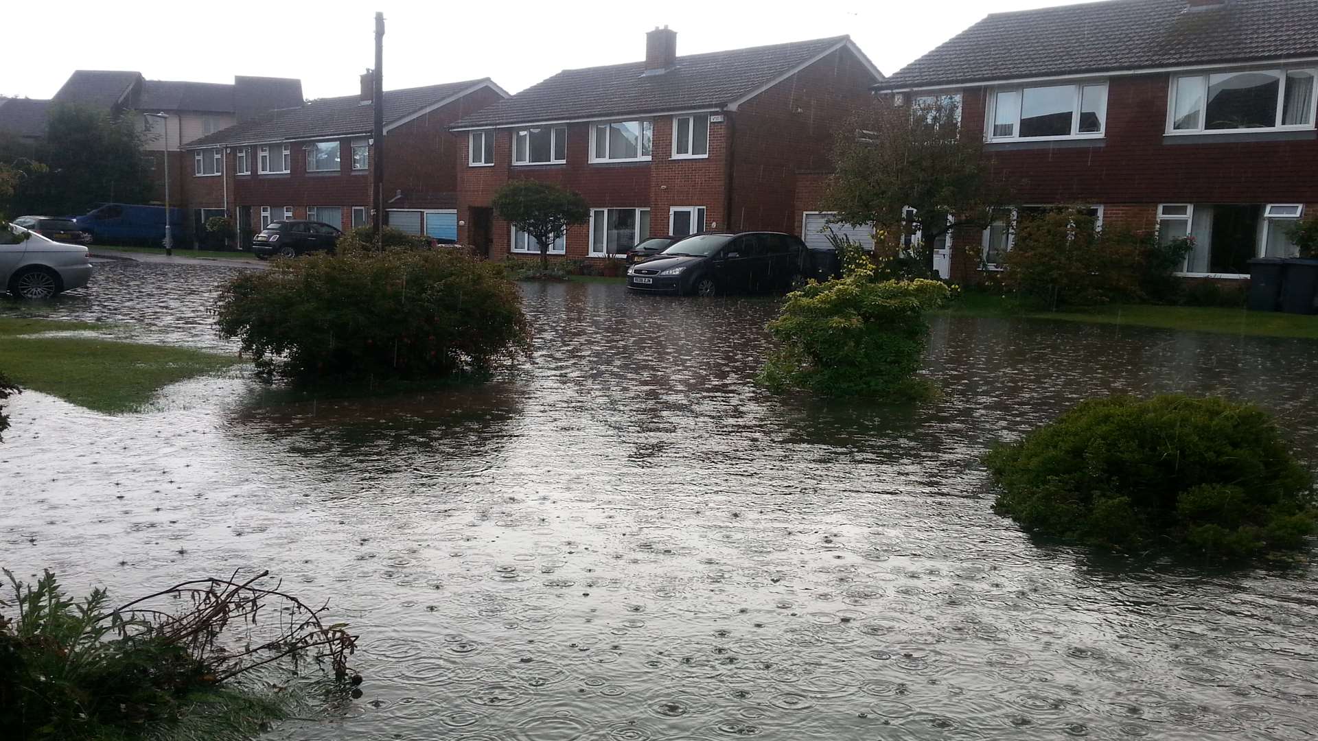 The rain keeps on coming in Maple Close, Rough Common