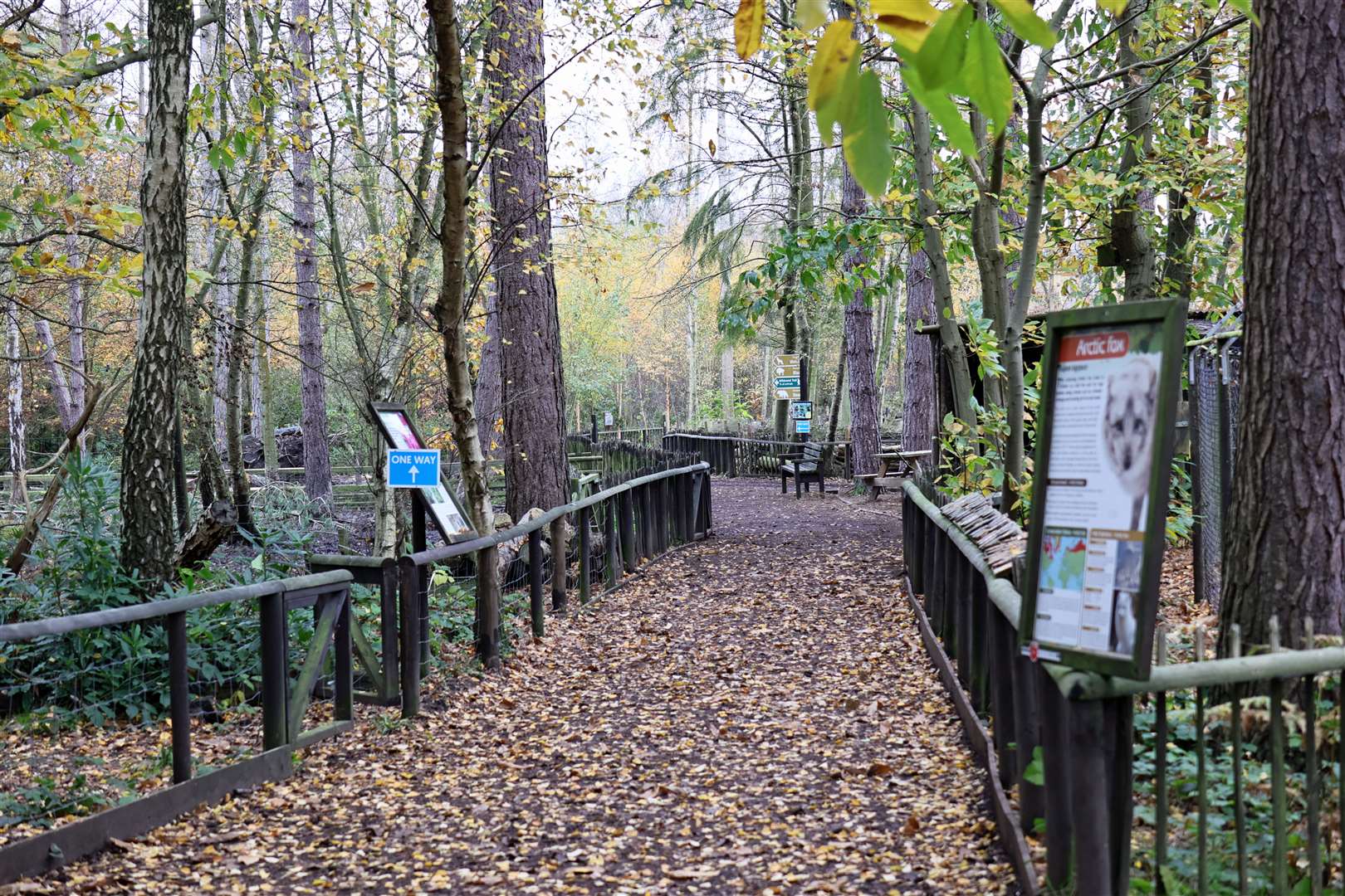 The Wildwood Trust in Herne, near Canterbury, has become a popular tourist destination