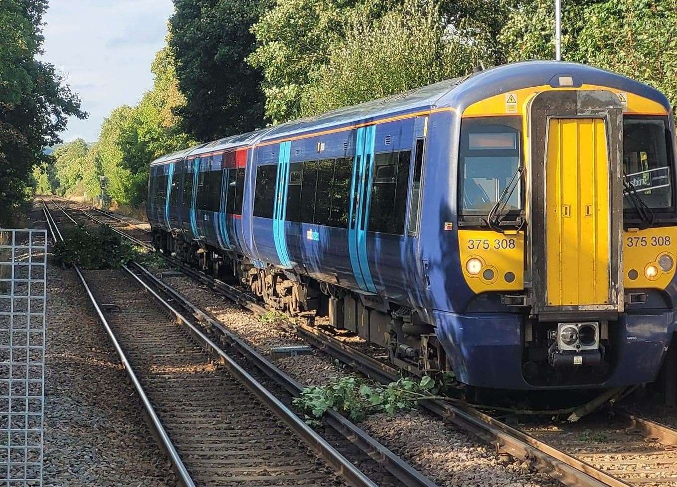 A train hit a tree by Snodland Railway Station, causing delays on the Medway Valley line services