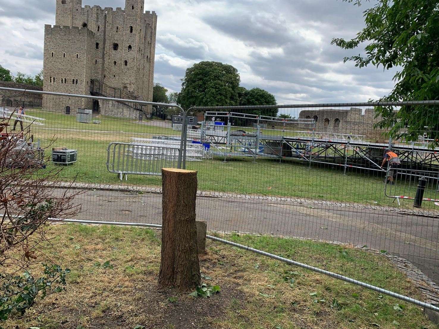 The Workers's Memorial Tree has been reduced to a stump