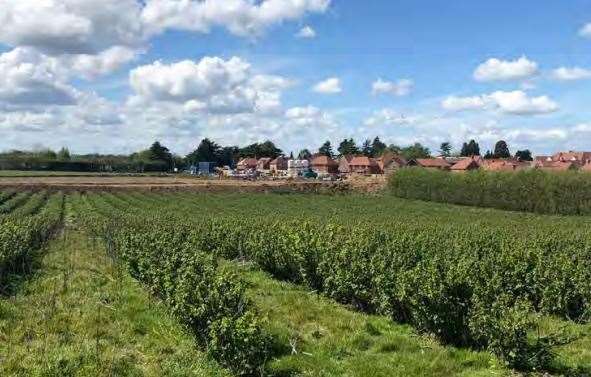 Where the 88 homes are proposed to go. Phase one of the scheme stands in the background. Picture: Crest Nicholson