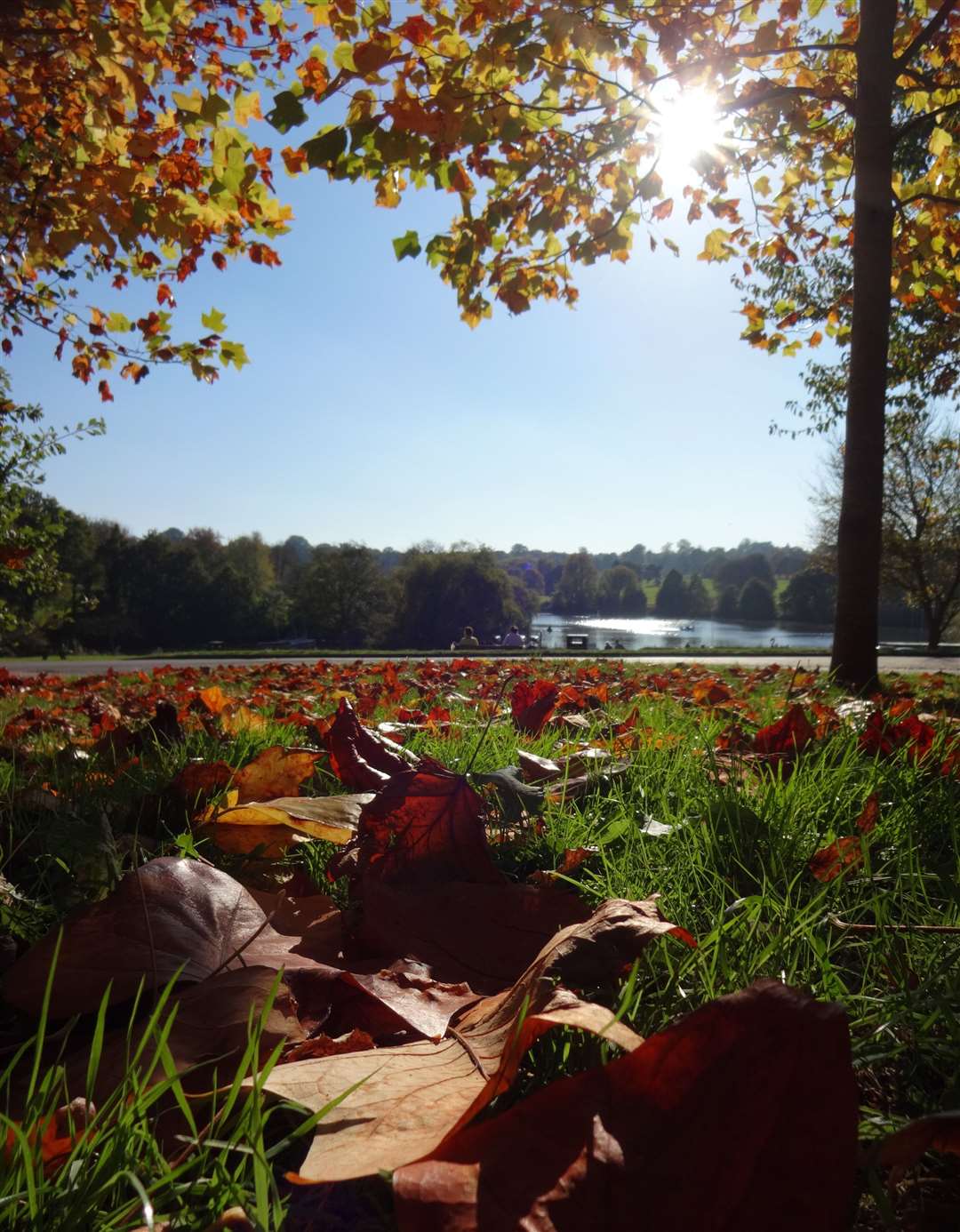 Bethan Anderson Winner of the Seasons Category in the Mote Park Photographic Competition