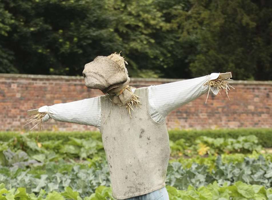 Scare crow. Stock image