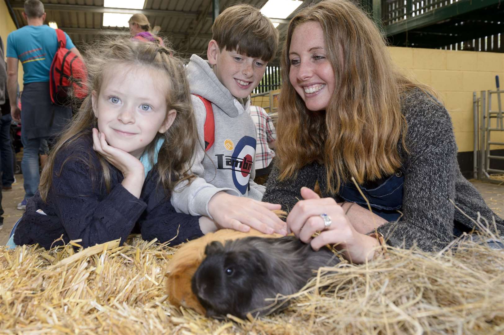 You can see the animals at the Rare Breeds Centre Picture: Andy Payton