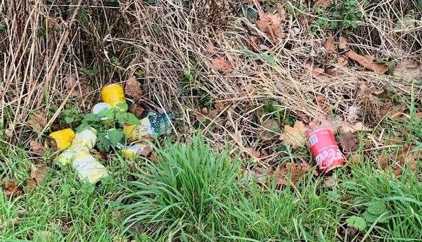 Cans, bottles and takeaway wrappers are among items Mrs Woodcock cleaned up