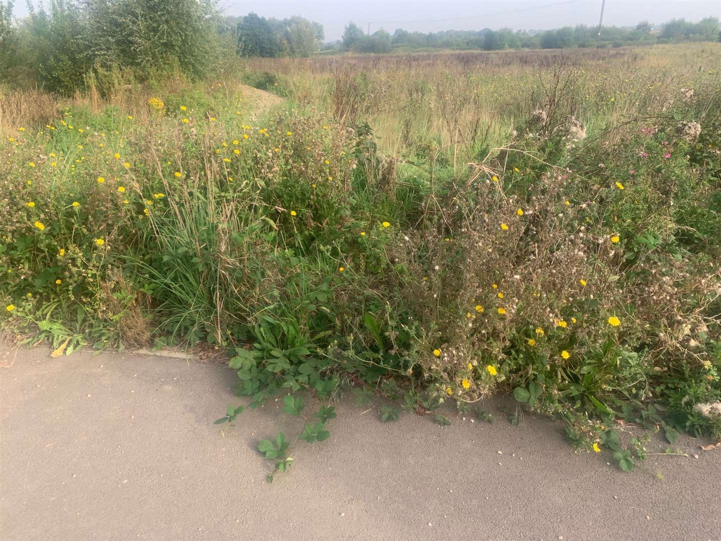 Finberry village residents are now working together to ensure the required maintenance on their estate is completed. Picture: Siobhan Lyell