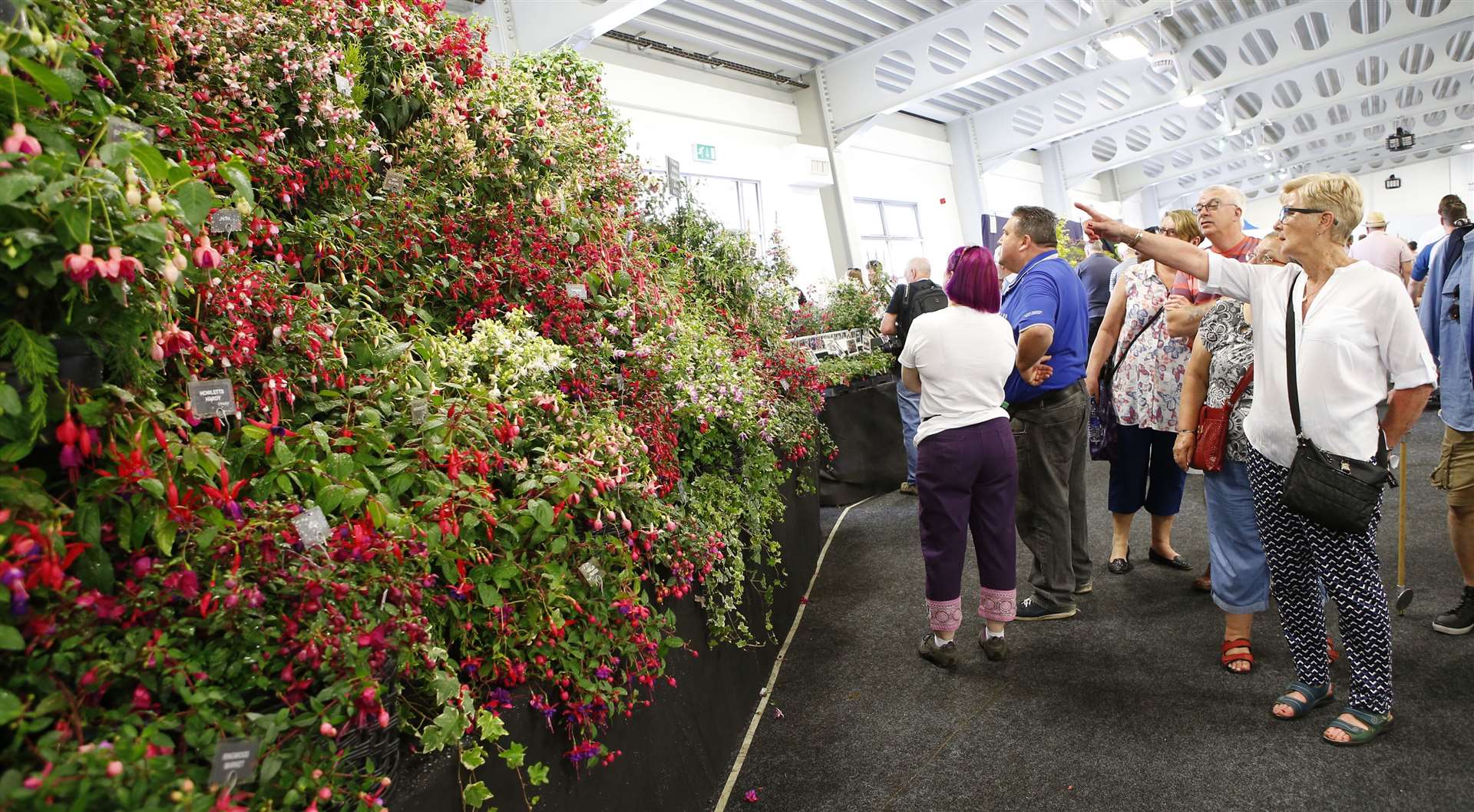 This year’s Kent Garden Show will get underway on Saturday, May 25 and finish on Monday, May 27. Picture: Andy Jones (9600901)