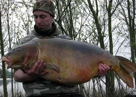 John Bird struggles to show off Two Tone - the 67lb record-breaker.