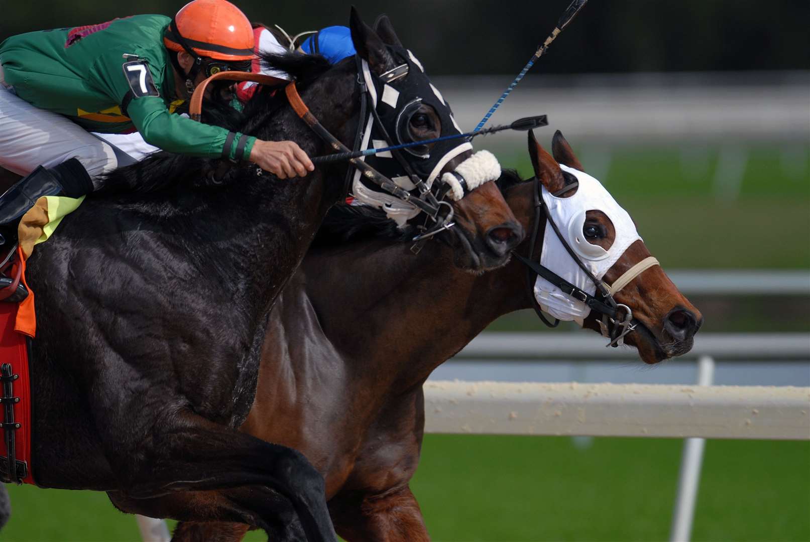 Horse racing has returned this week Picture: Jeff Griffith/Unsplash