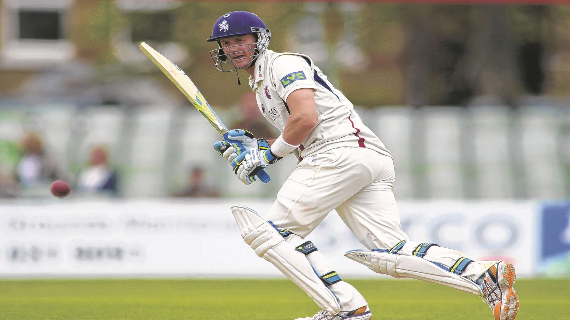 Joe Denly. Picture: Barry Goodwin