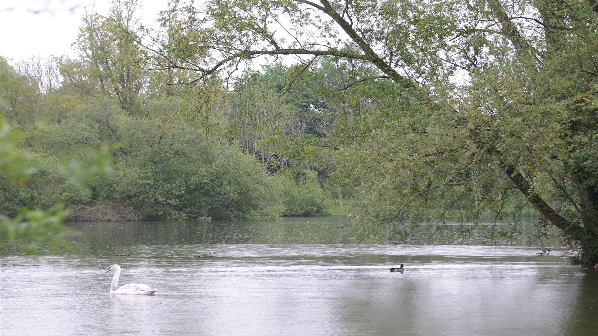 Singleton Lake, Ashford. Picture: Gary Browne