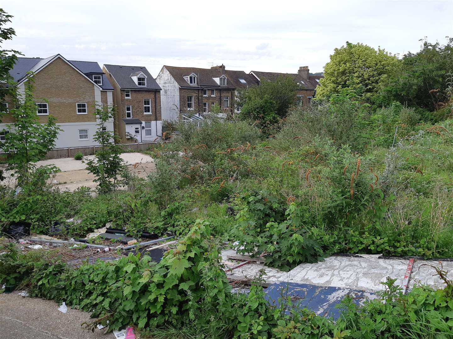 A whole section of the site is now overgrown. Picture: Sam Lennon KM