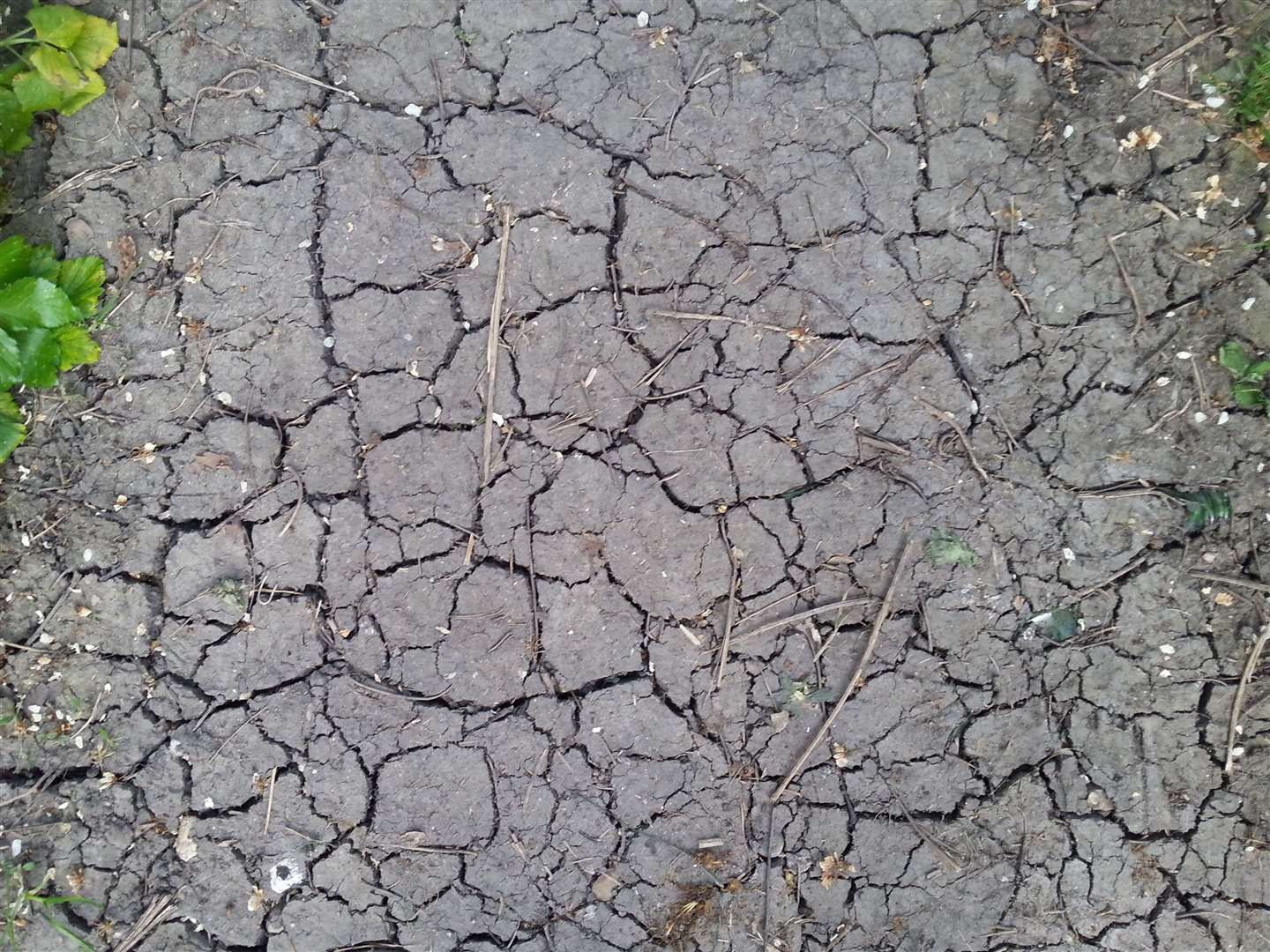 Farmers say some land is still recovering from last summer