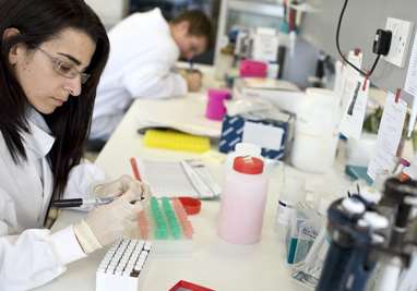 A lab at East Malling Research, now known as NIAB EMR, where scientists are developing the next generation of food technology