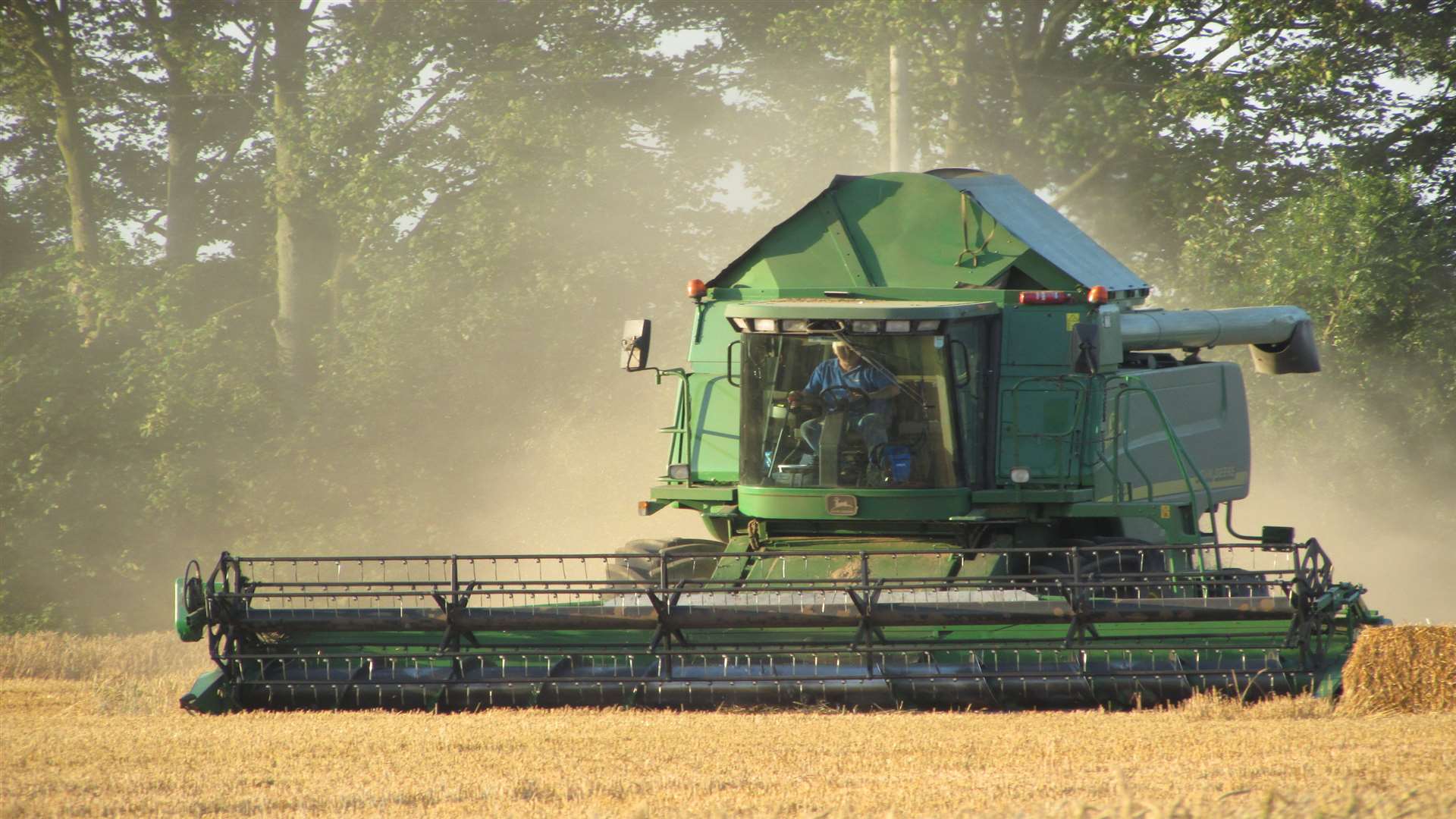 A combine harvester at work. Picture by Roger Sills.