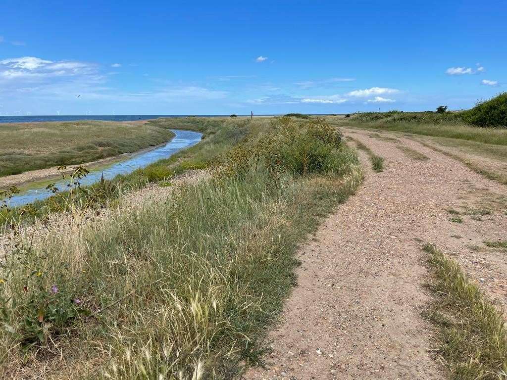 Long Rock in Swalecliffe is a popular spot for walkers. Picture: Gavin Serkin