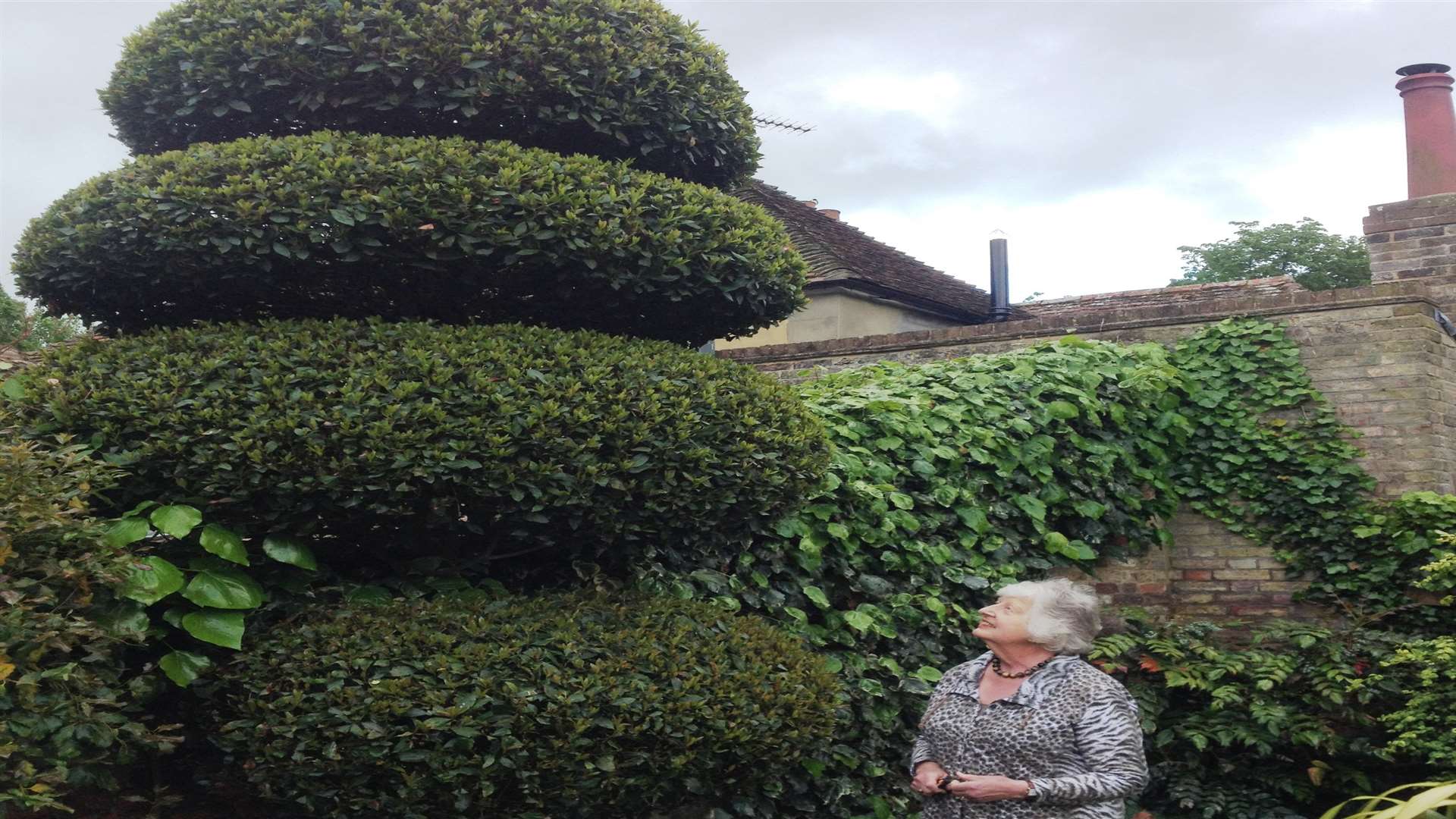 Tessa Sale of St Clement's House in Knightrider Street is opening her garden