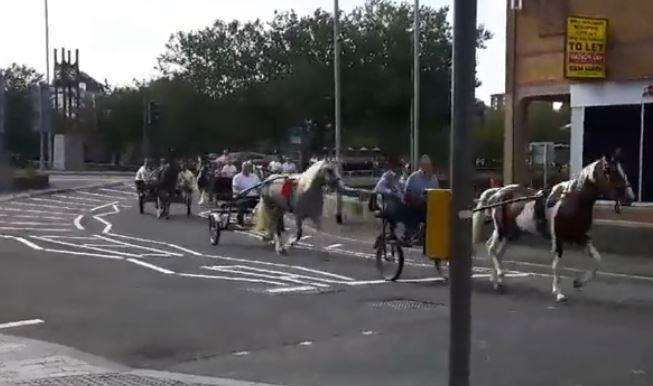 Horses in Maidstone (3914531)